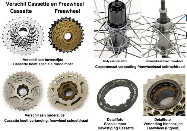 Casstte of freewheel